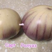 Томат Сарт Ролуаз