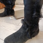 Сапоги-ботфорды