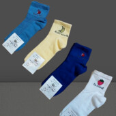 Шкарпетки 5 пар асорті кольорів