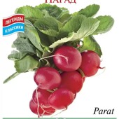 Редис Парад. 200 шт! Редис великого розміру, який не в'яне і не пустіє всередині.