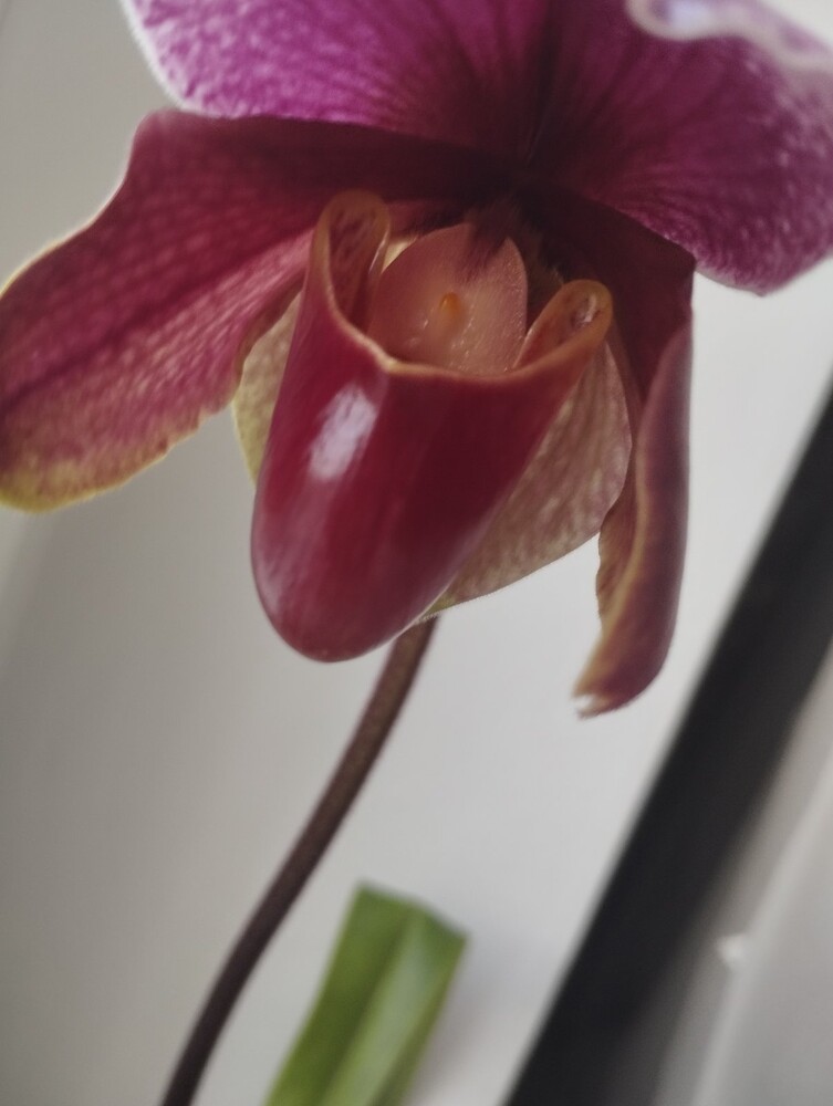Фото №2