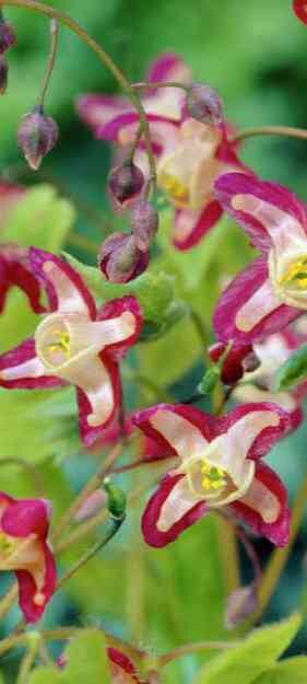 Фото №5