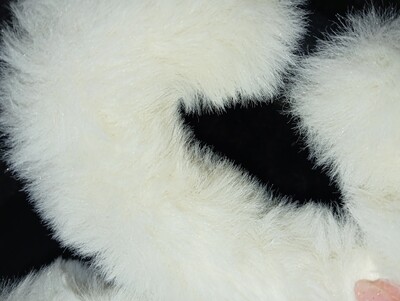 Фото №5