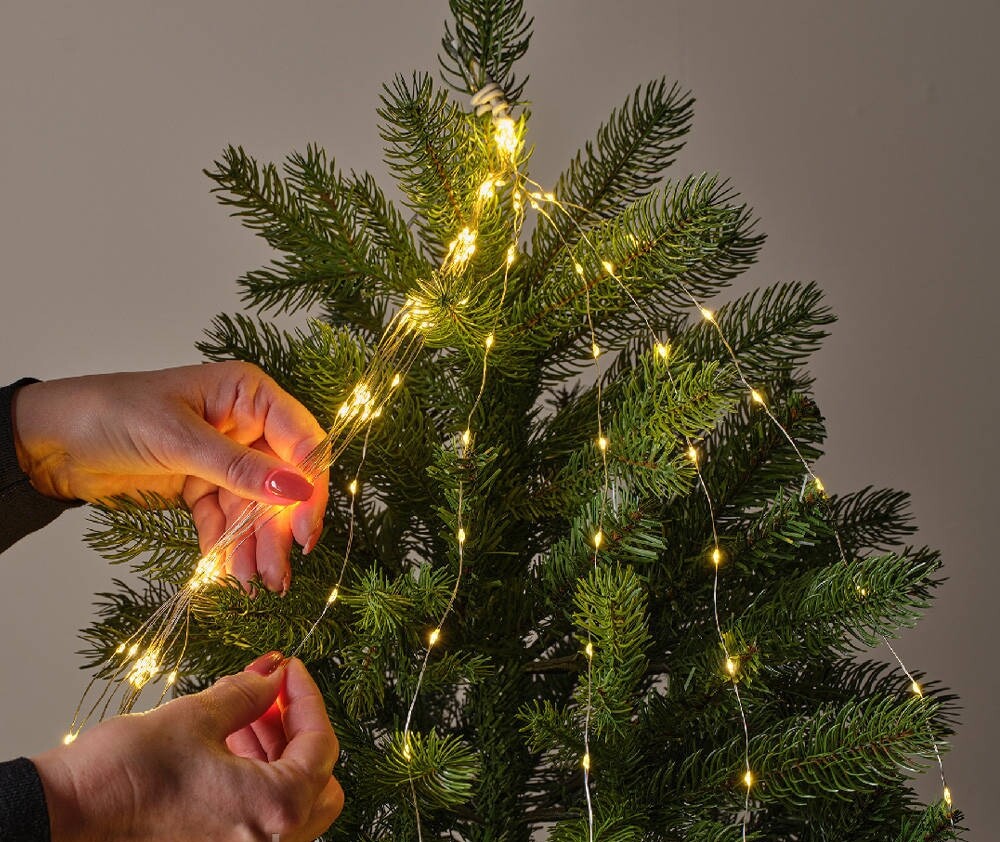 Фото №5