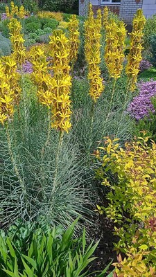 Фото №3