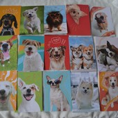 Набір листівок American greetings blank cards