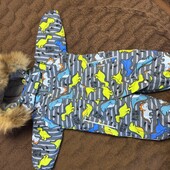 Зимовий комбінезон