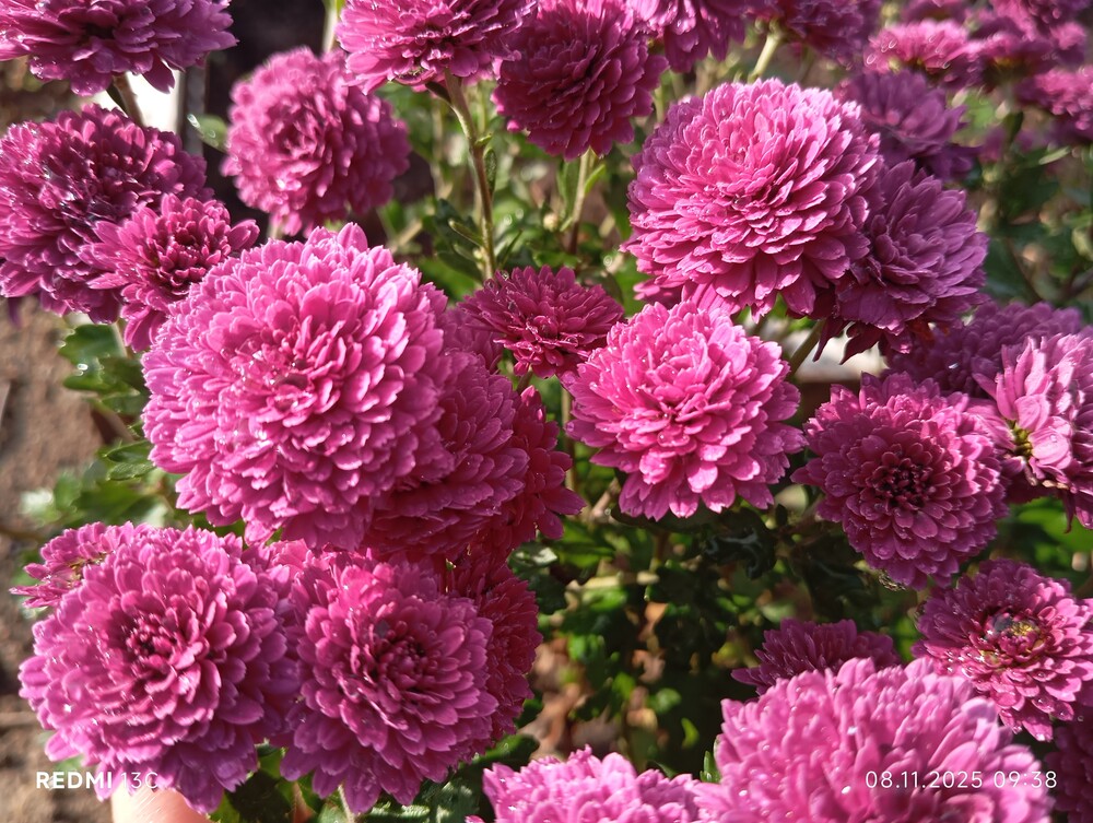 Фото №1