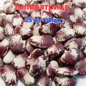 Продам квасолю лімських сортів на насіння
