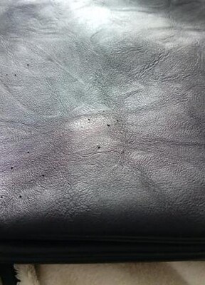 Фото №5