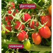 Томат Даттеріні червоний (черрі)